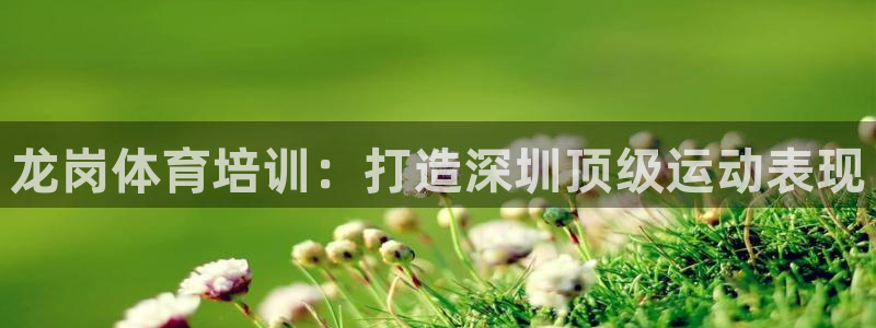 极悦平台注册用户名生成器：龙岗体育培训：打造深圳顶级
