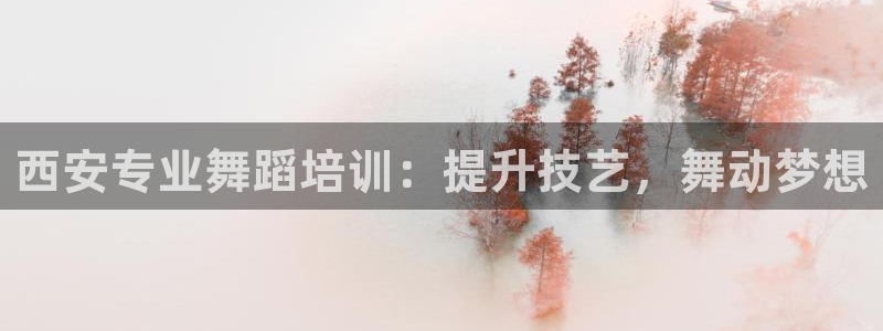 极悦平台注册登录：西安专业舞蹈培训：提升技艺，舞动梦