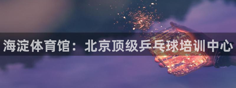 加盟极悦教育：海淀体育馆：北京顶级乒乓球培训中心