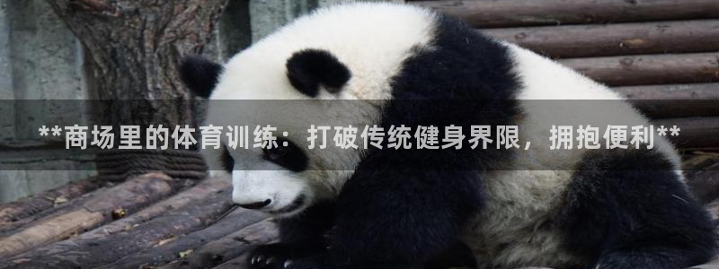极悦平台基7O777：**商场里的体育训练：打破传统