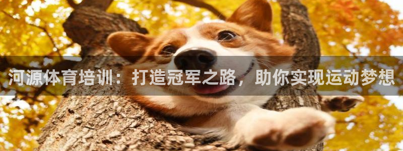 极悦官网下载最新版本更新内容：河源体育培训：打造冠军