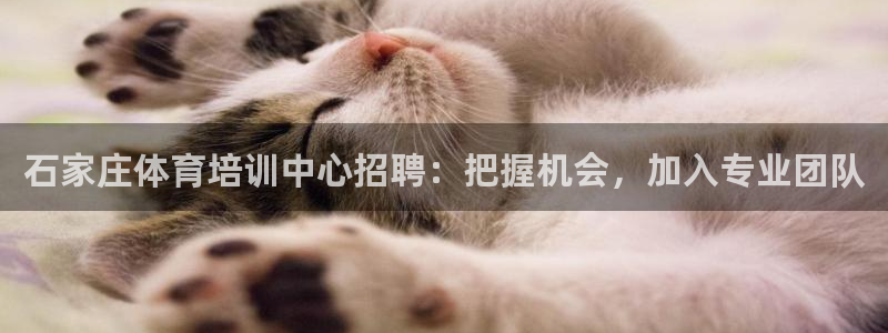 极悦娱乐方7O777：石家庄体育培训中心招聘：把握机