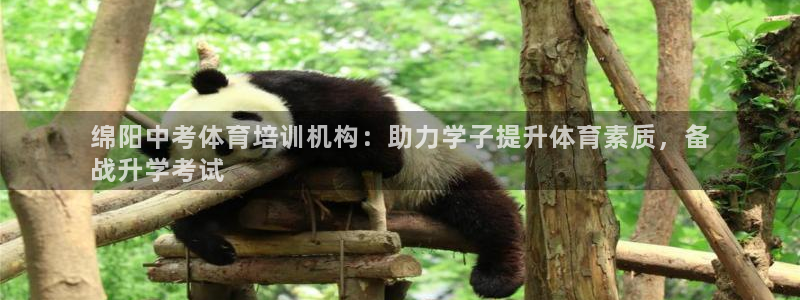 极悦平台平台注册方法与步骤视频：绵阳中考体育培训机构