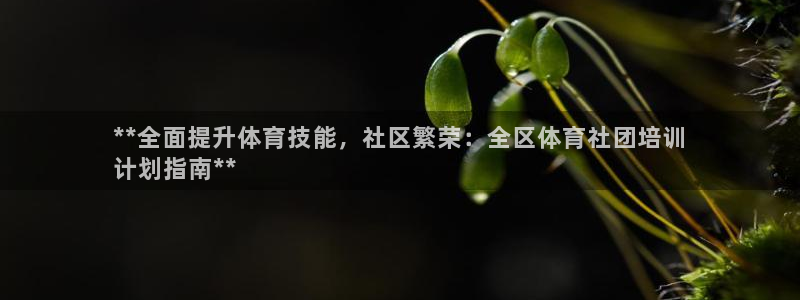 极悦平台官网入口登录：**全面提升体育技能，社区繁荣