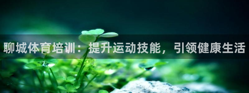极悦平台注册用户名格式不正确：聊城体育培训：提升运动