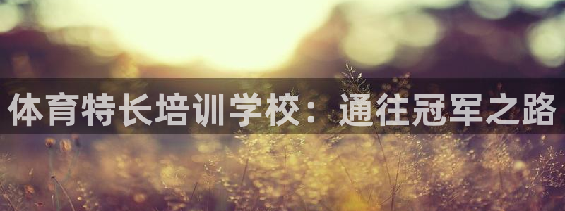 极悦生活家是什么平台：体育特长培训学校：通往冠军之路