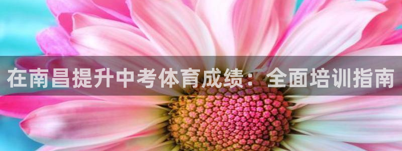 极悦平台官网登录入口：在南昌提升中考体育成绩：全面培