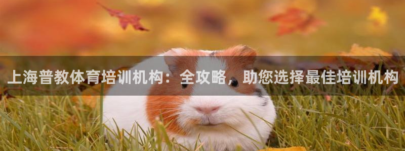 极悦平台登录不进去怎么回事儿：上海普教体育培训机构：
