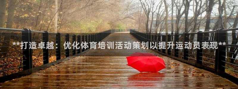 极悦娱乐股东结构：**打造卓越：优化体育培训活动策划