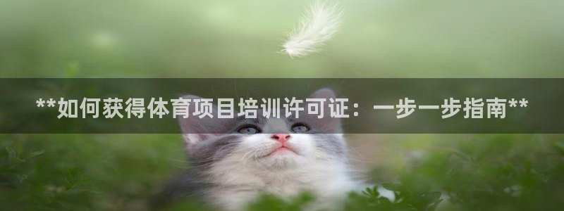 极悦娱乐现在叫什么：**如何获得体育项目培训许可证：