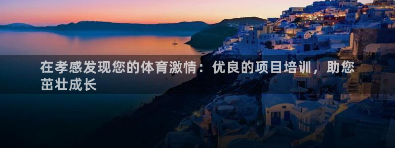 极悦平台用户评价与反馈怎么设置：在孝感发现您的体育激