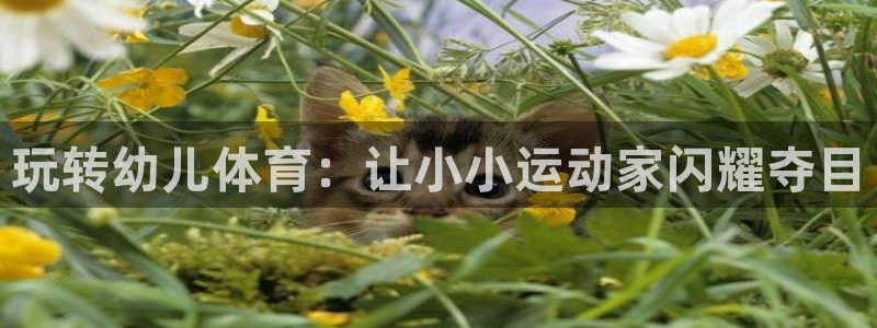 极悦平台注册申请流程详解视频：玩转幼儿体育：让小小运