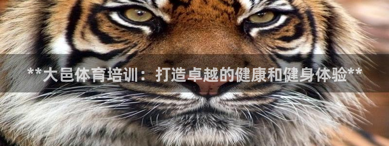 极悦官方网站入口网址是什么：**大邑体育培训：打造卓