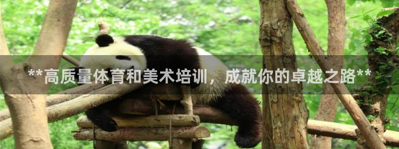 极悦平台客服的联系方式是什么：**高质量体育和美术培