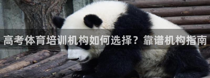 极悦平台注册官方网站下载：高考体育培训机构如何选择？