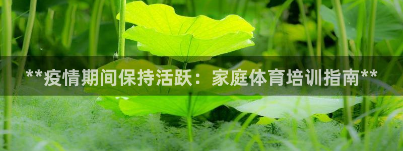 极悦平台官方网址是多少：**疫情期间保持活跃：家庭体