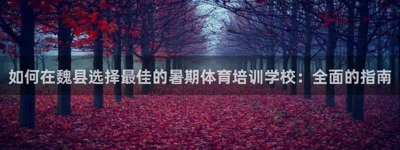 极悦娱乐的最新版本更新内容是什么：如何在魏县选择最佳