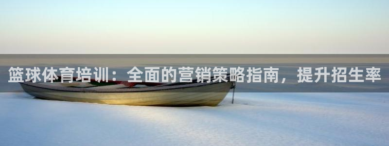 极悦平台官方网站首页下载：篮球体育培训：全面的营销策