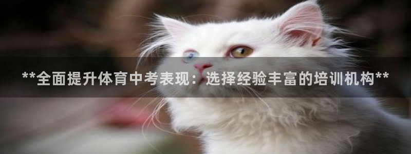 极悦平台注册用户名验证失败：**全面提升体育中考表现