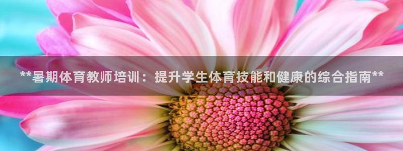 极悦娱乐app官方版本更新内容：**暑期体育教师培训