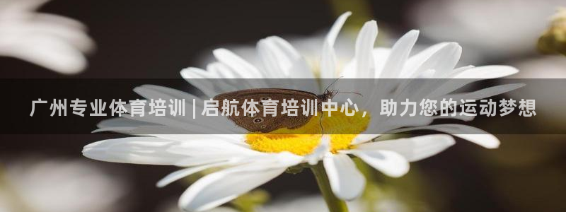 极悦平台代理怎么做的：广州专业体育培训 | 启航体育