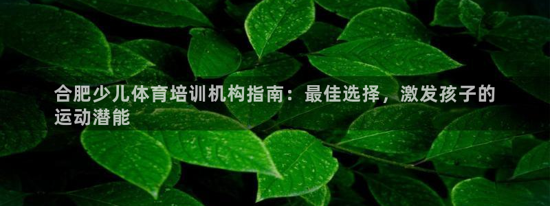 极悦平台是正规平台吗安全吗可靠吗：合肥少儿体育培训机