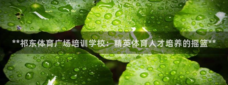 极悦平台是什么：**祁东体育广场培训学校：精英体育人