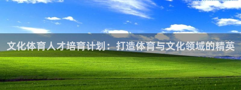 极悦平台使用注意事项：文化体育人才培育计划：打造体育