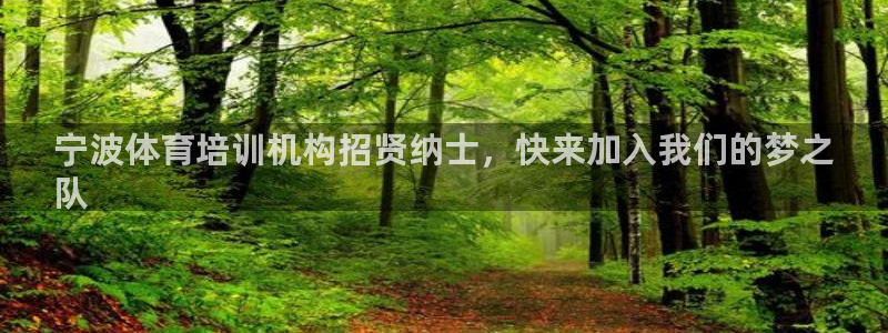 极悦娱乐官网最新版本更新内容下载：宁波体育培训机构招