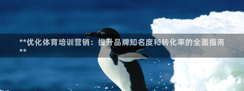 极悦平台官方网站：**优化体育培训营销：提升品牌知名