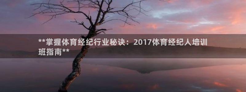 极悦平台注册官方网站下载安装苹果：**掌握体育经纪行