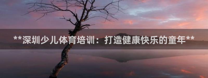 极悦平台注册申请流程详解图：**深圳少儿体育培训：打