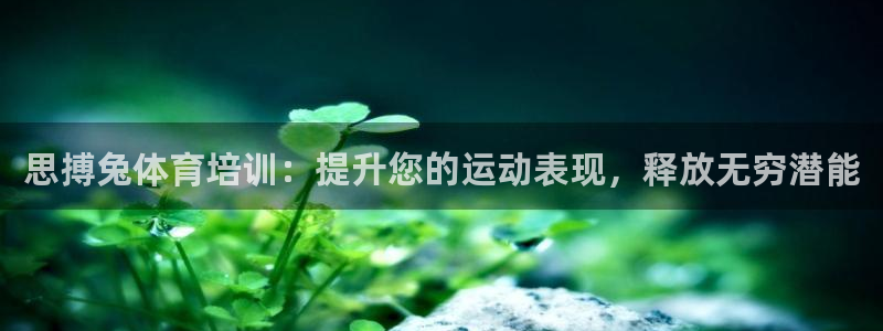 极悦官网旗舰店地址：思搏兔体育培训：提升您的运动表现