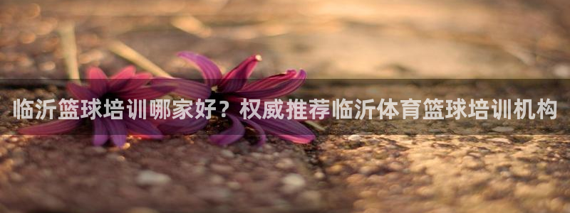 极悦平台客服的联系方式是：临沂篮球培训哪家好？权威推