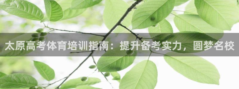 极悦平台是干什么的：太原高考体育培训指南：提升备考实