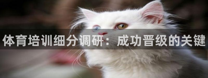 极悦平台app安全吗可靠吗：体育培训细分调研：成功晋