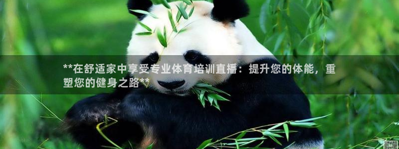 极悦平台登录不进去怎么回事儿：**在舒适家中享受专业