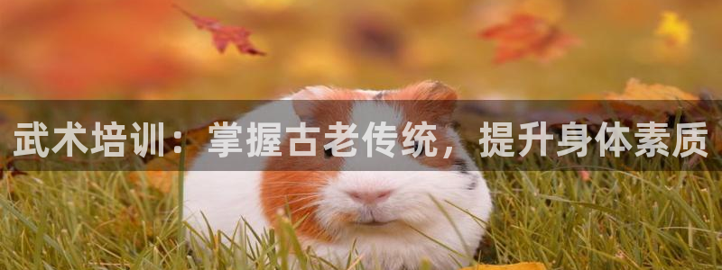 极悦平台有风险吗知乎：武术培训：掌握古老传统，提升身