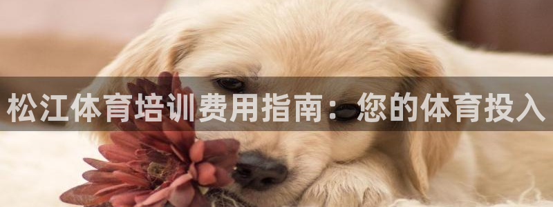 极悦娱乐登录拒绝访问怎么办啊：松江体育培训费用指南：