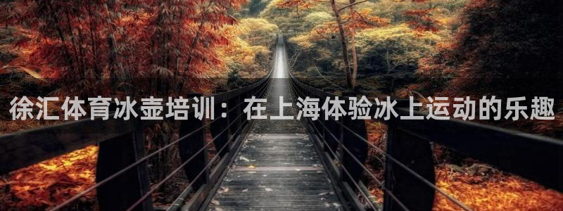 极悦平台安全吗可信吗：徐汇体育冰壶培训：在上海体验冰