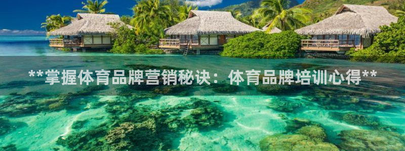 极悦平台平台注册方法与步骤图：**掌握体育品牌营销秘