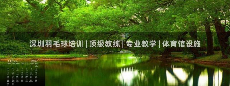 极悦娱乐是资金盘吗：深圳羽毛球培训 | 顶级教练 |