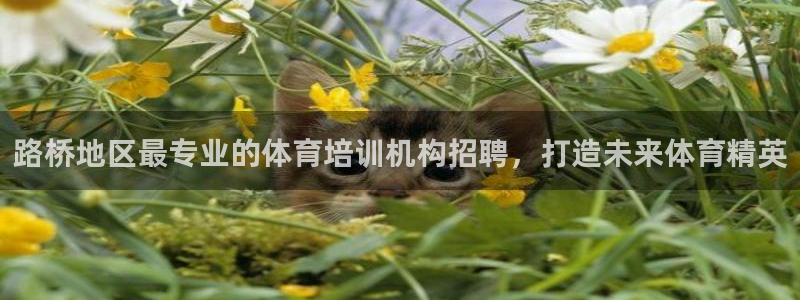 极悦娱乐app官方版本更新内容在哪：路桥地区最专业的
