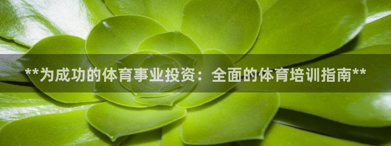 极悦娱乐部7O777：**为成功的体育事业投资：全面