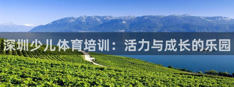 极悦平台官网登录入口网址查询：深圳少儿体育培训：活力