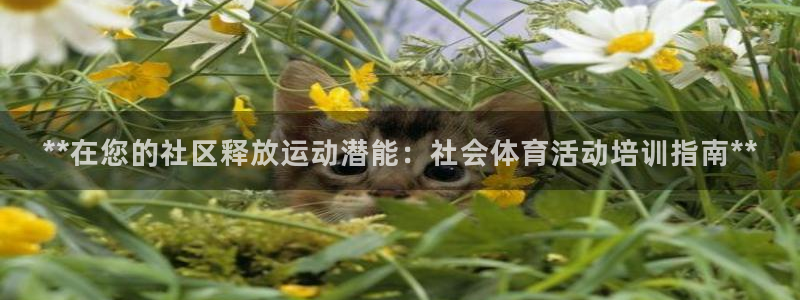 极悦平台基7O777：**在您的社区释放运动潜能：社