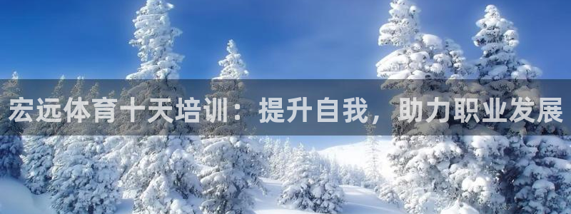 极悦平台官网入口登录：宏远体育十天培训：提升自我，助