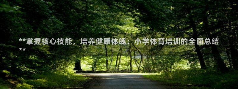极悦娱乐：**掌握核心技能，培养健康体魄：小学体育培