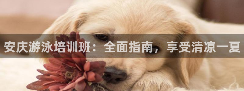 极悦平台官方网站入口下载：安庆游泳培训班：全面指南，