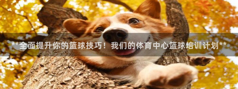 极悦平台用户评价：**全面提升你的篮球技巧！我们的体